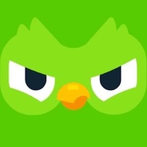 Meet your Posher, Xavier